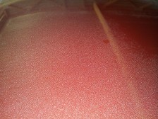 Accord covered with paint overspray